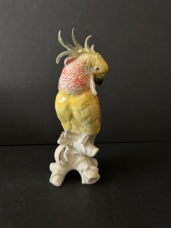 Karl Ens - Cacatoès - Porcelaine – Image 4