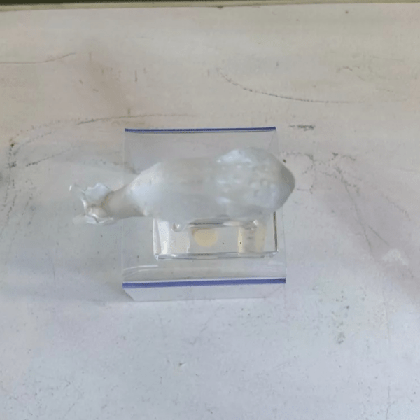 Cristal Lalique - Daim – Image 5
