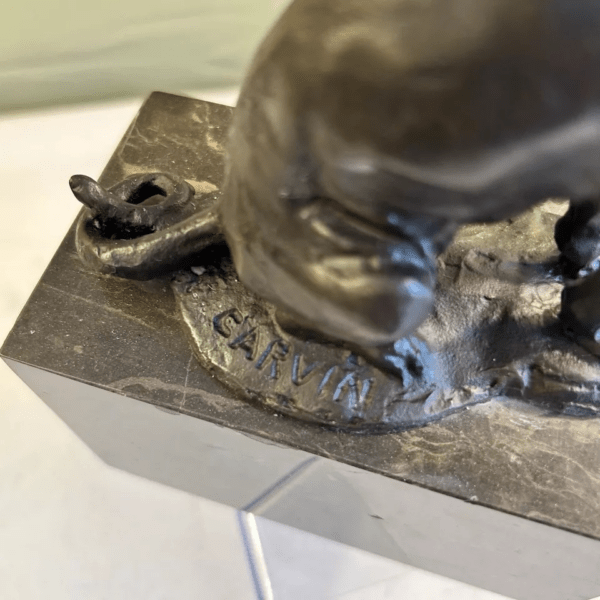 Bronze - Lionne - Carvin – Image 5