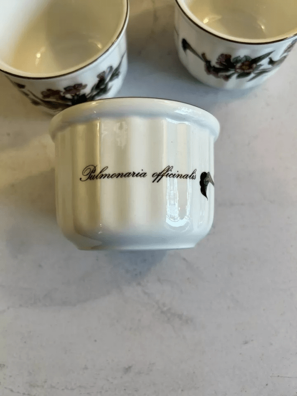 6 ramequins - VILLEROY & BOCH - modèle BOTANICA – Image 3
